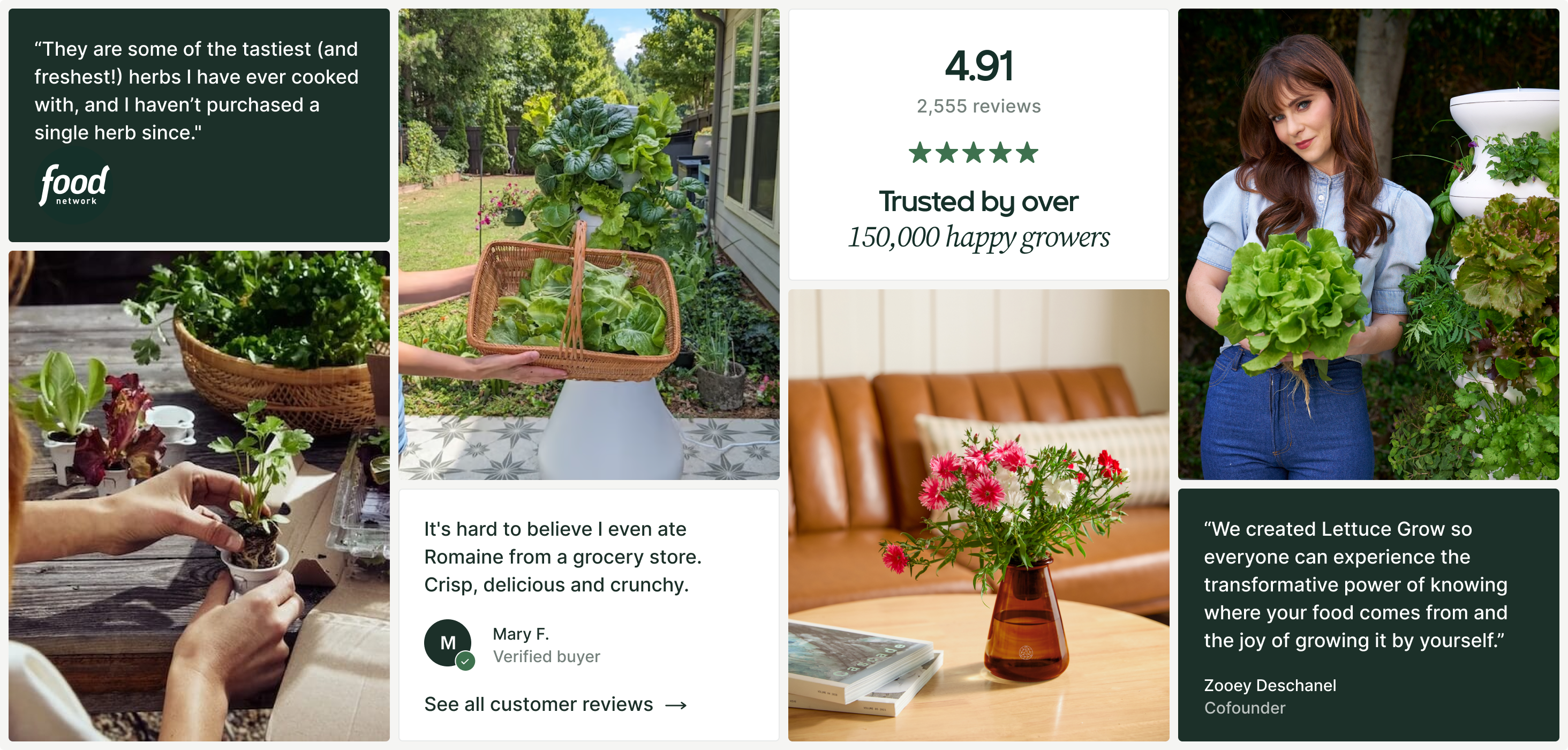 Lettuce Grow testimonials and social proof grid with ratings, quotes, and lifestyle photography